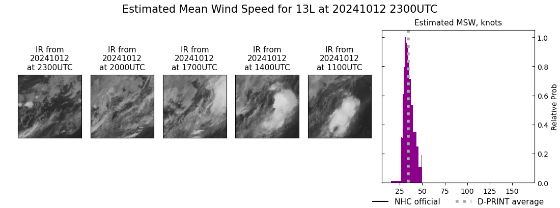 current 13L intensity image