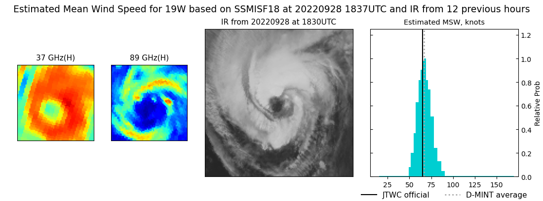 current 19W intensity image
