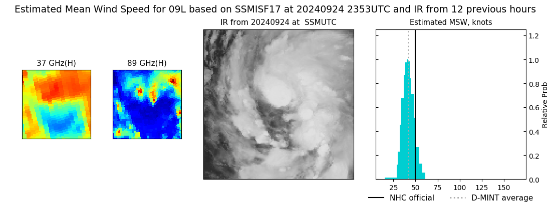 current 09L intensity image