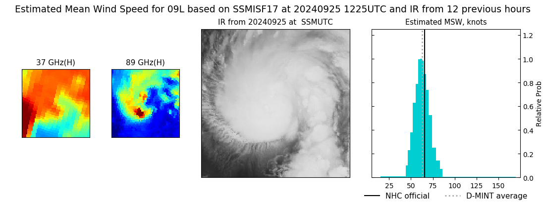 current 09L intensity image