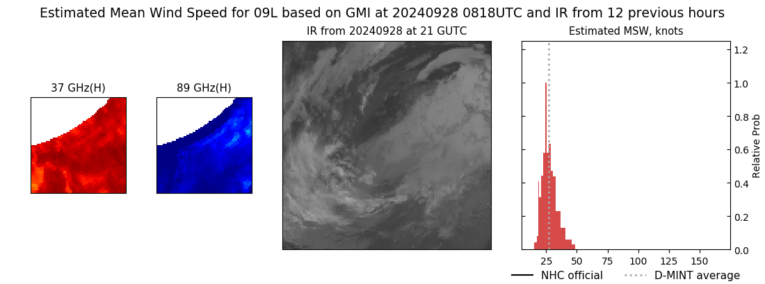 current 09L intensity image