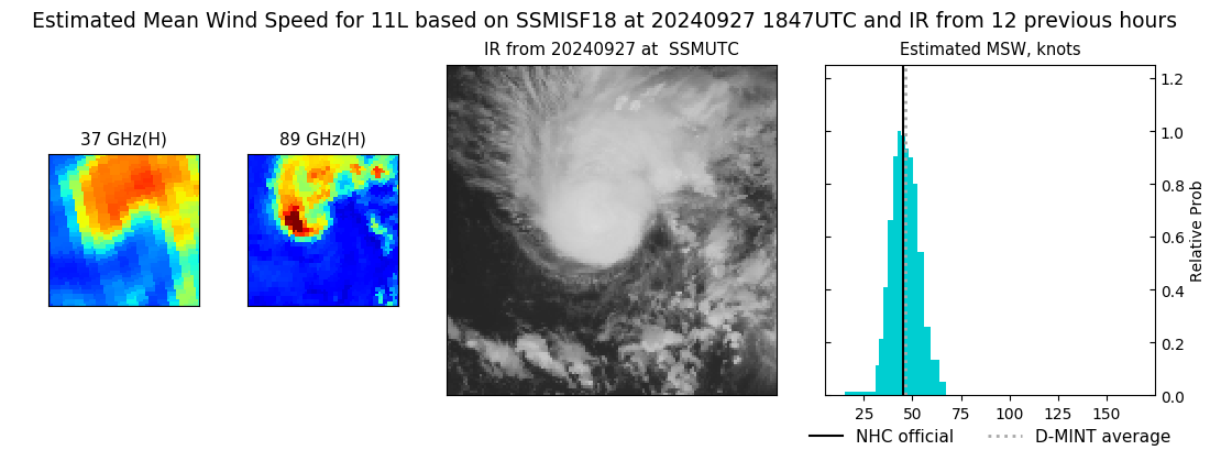 current 11L intensity image