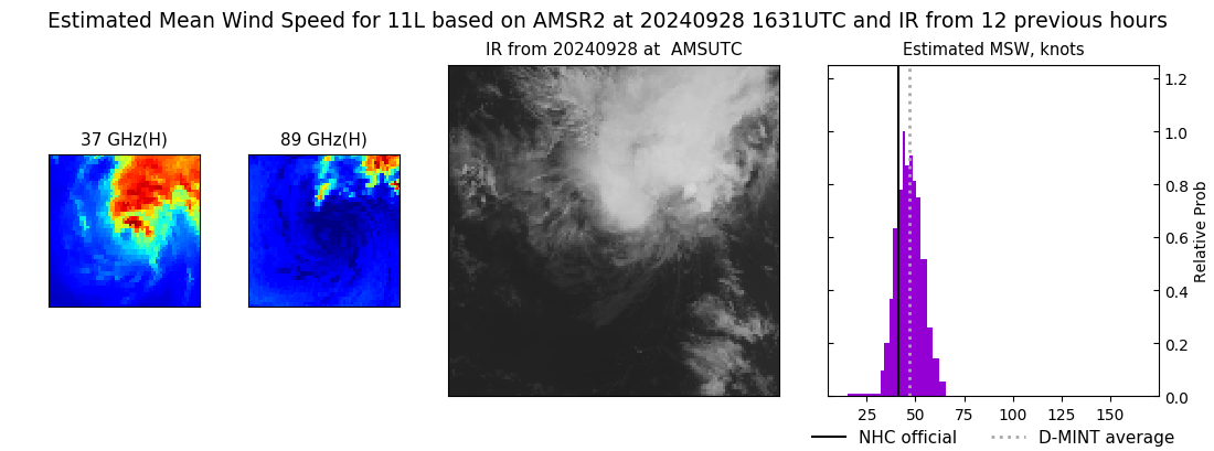 current 11L intensity image