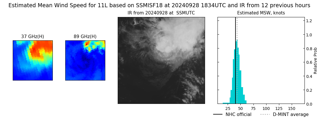 current 11L intensity image