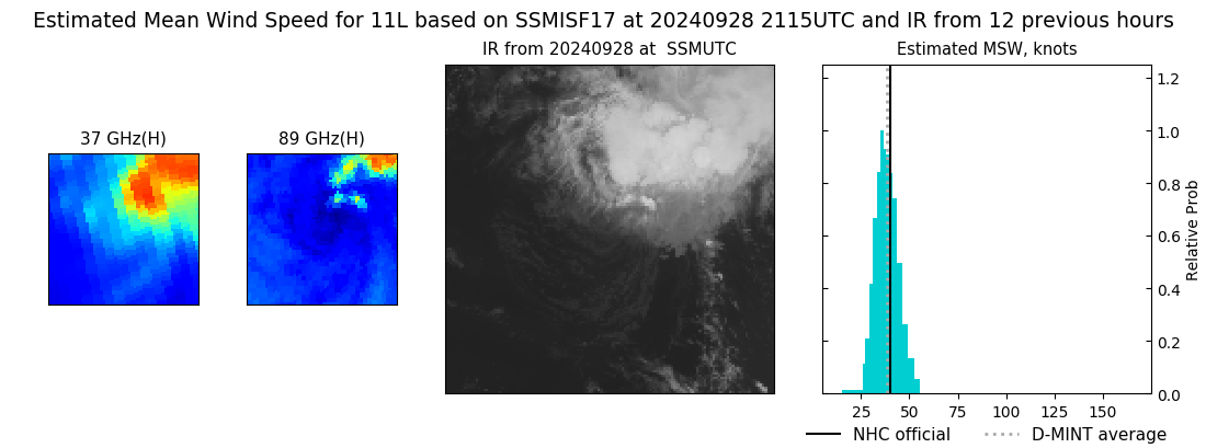 current 11L intensity image