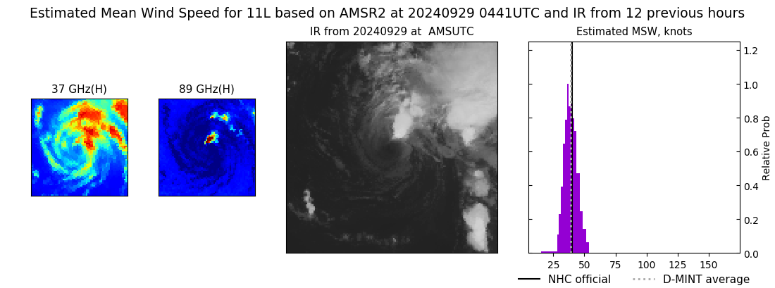 current 11L intensity image