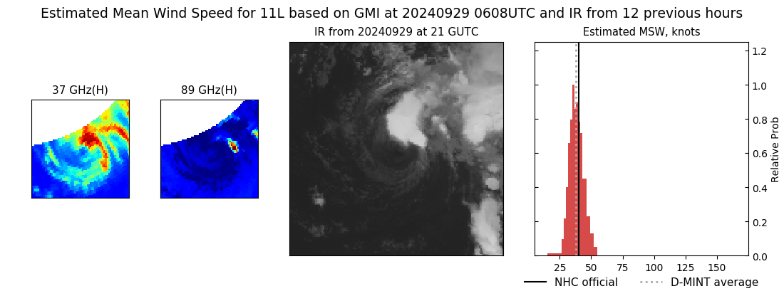 current 11L intensity image