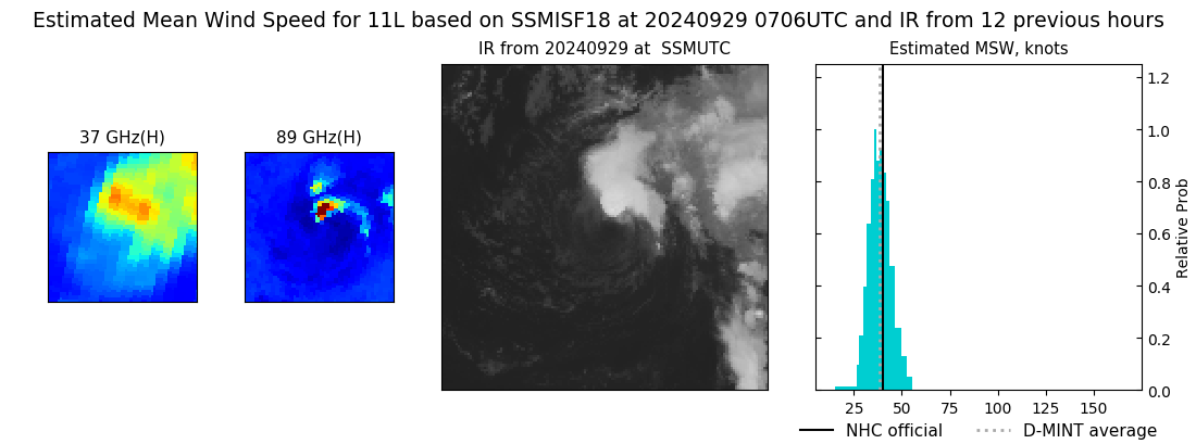 current 11L intensity image