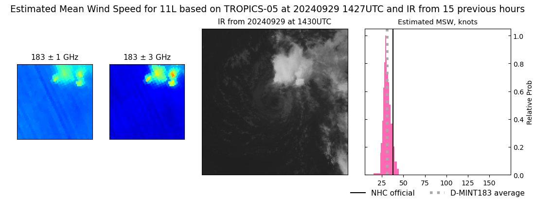 current 11L intensity image