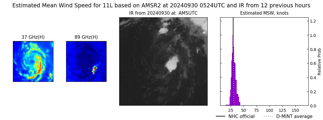 current 11L intensity image