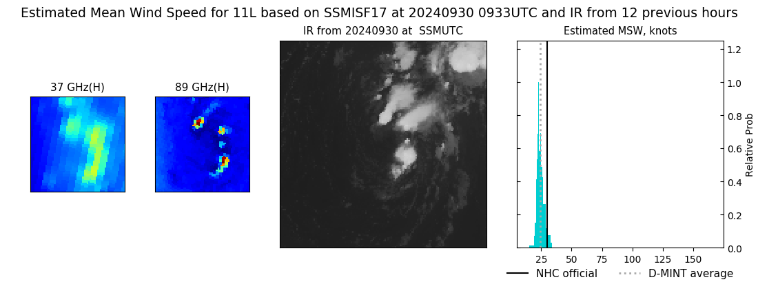 current 11L intensity image