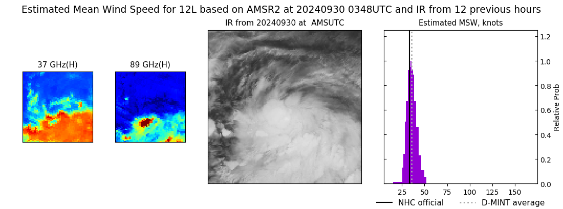 current 12L intensity image