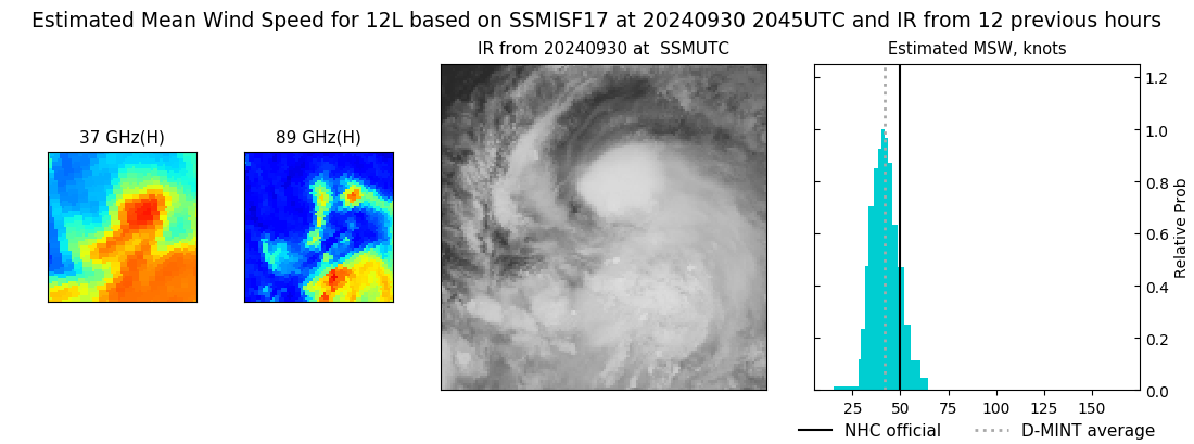 current 12L intensity image