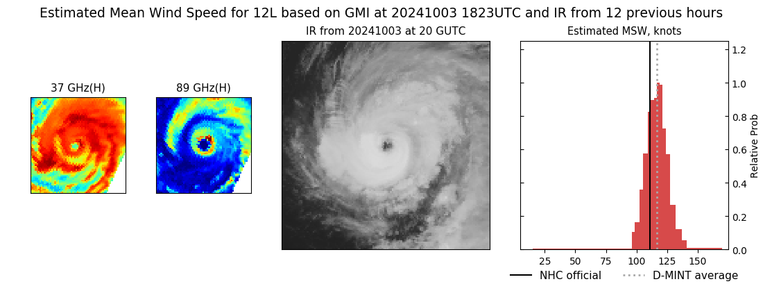 current 12L intensity image