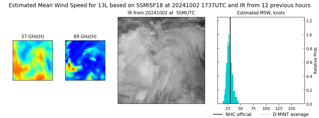 current 13L intensity image