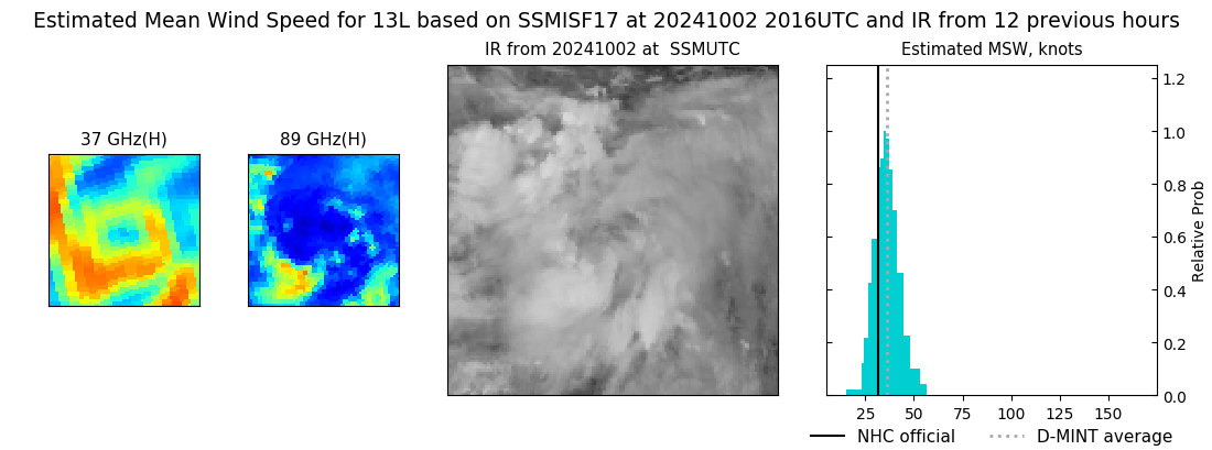 current 13L intensity image