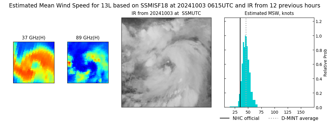 current 13L intensity image