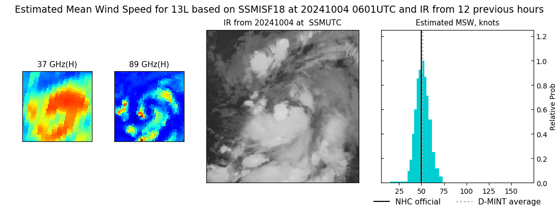 current 13L intensity image