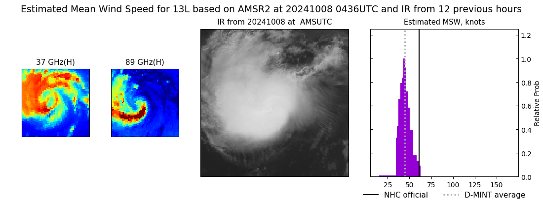 current 13L intensity image