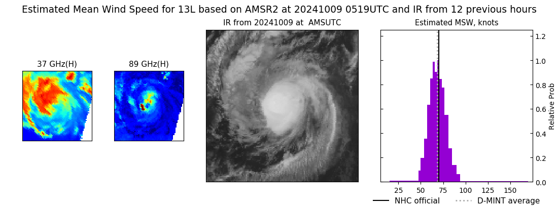 current 13L intensity image