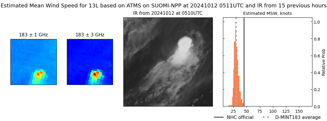 current 13L intensity image