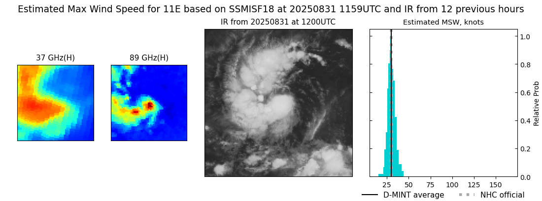 current 11E intensity image