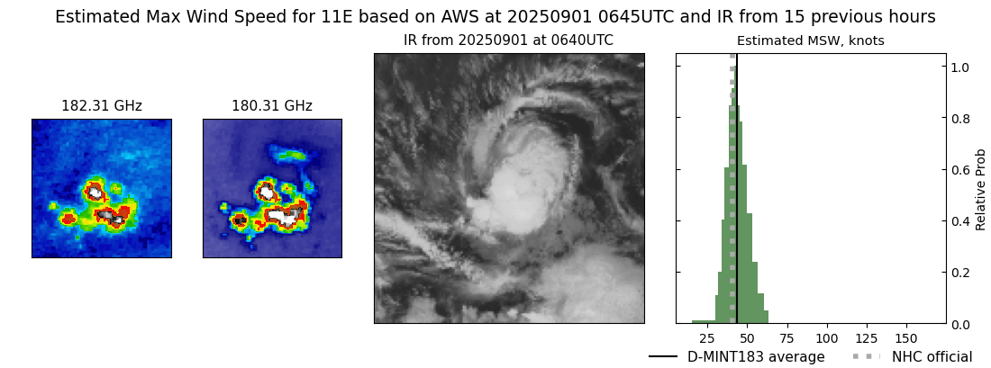 current 11E intensity image