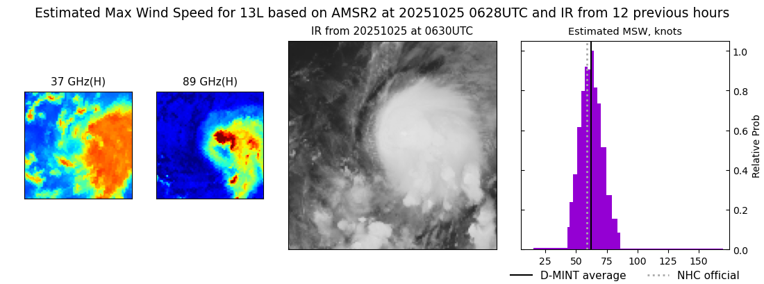 current 13L intensity image