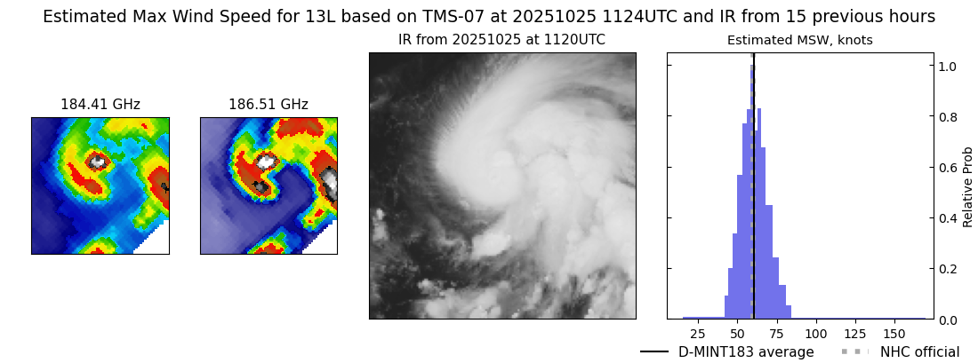 current 13L intensity image