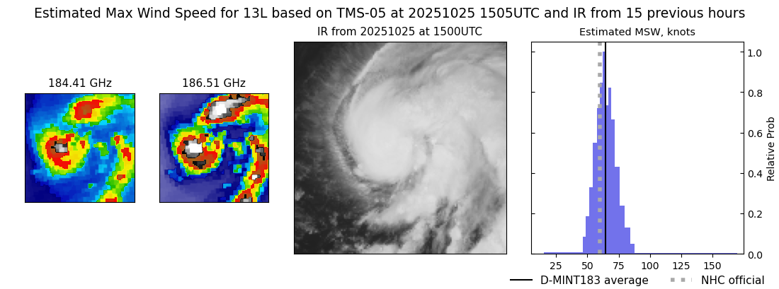 current 13L intensity image