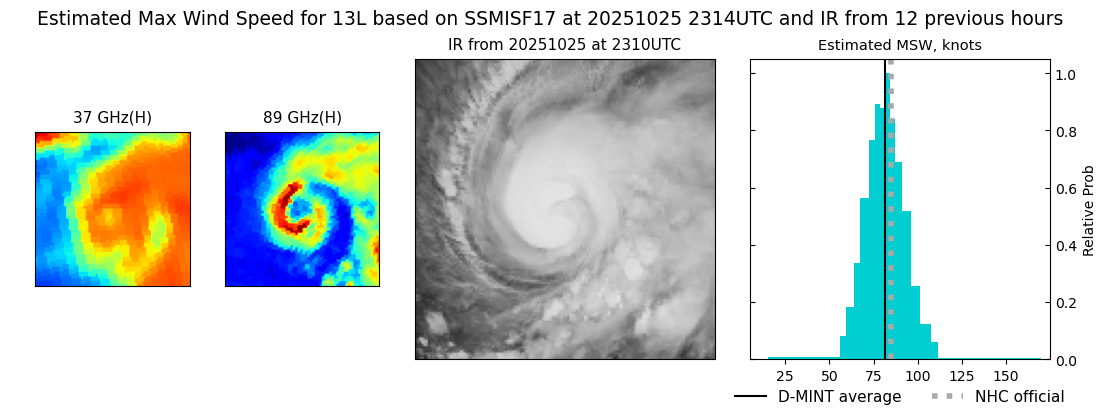 current 13L intensity image