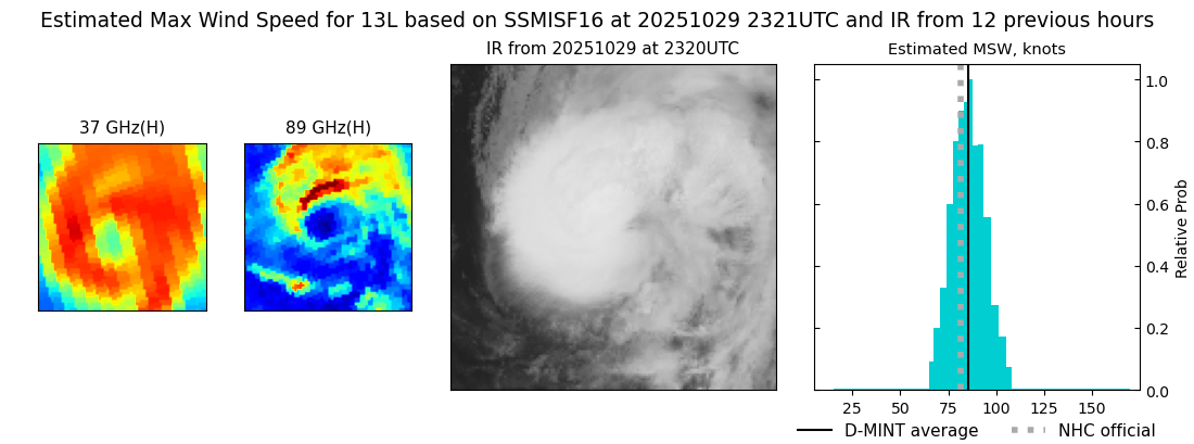 current 13L intensity image