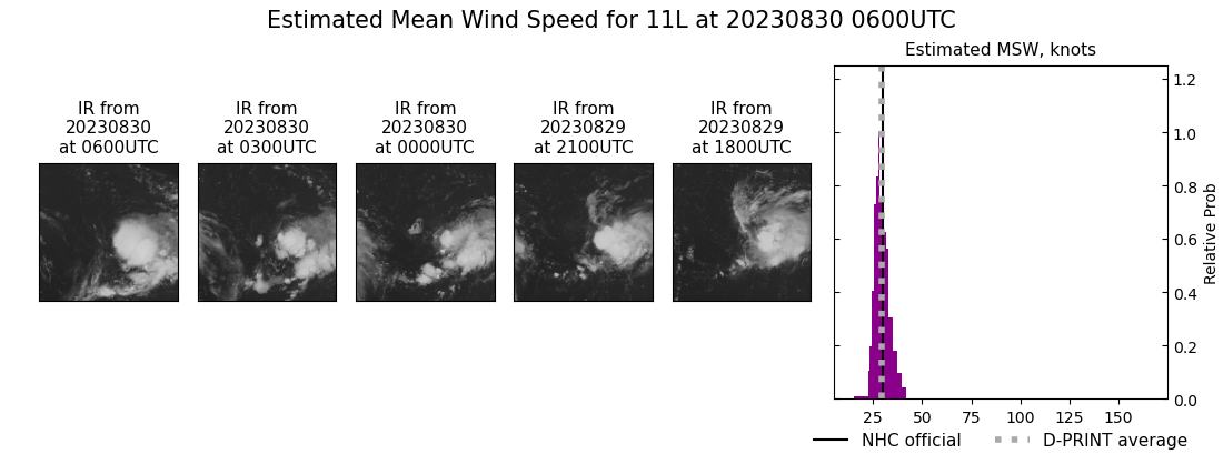 current 11L intensity image