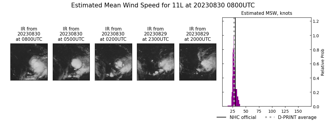 current 11L intensity image