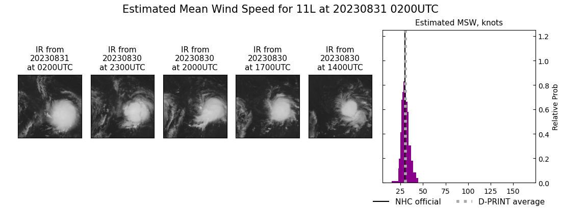 current 11L intensity image