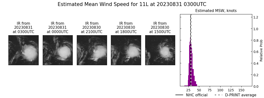 current 11L intensity image