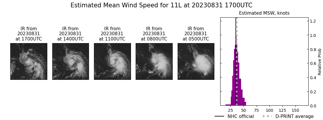 current 11L intensity image