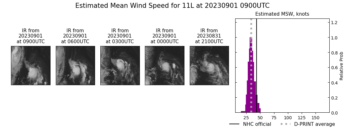 current 11L intensity image