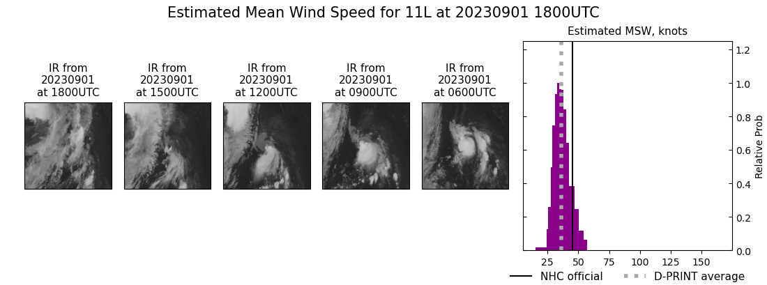 current 11L intensity image