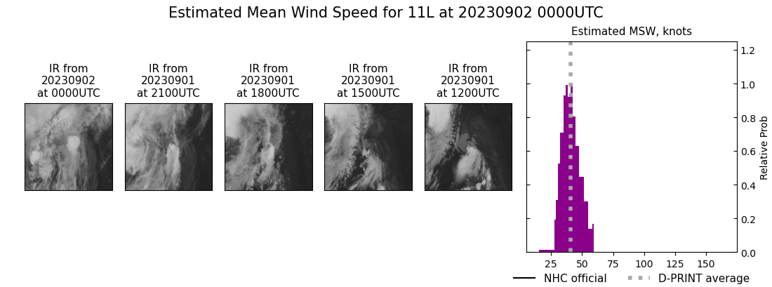 current 11L intensity image