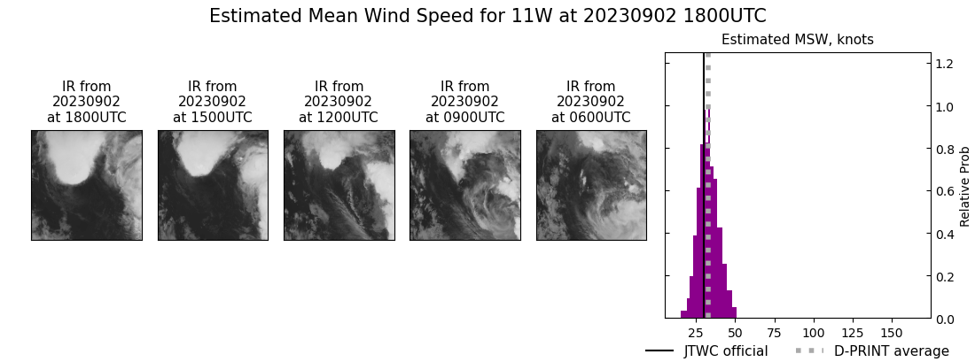 current 11W intensity image