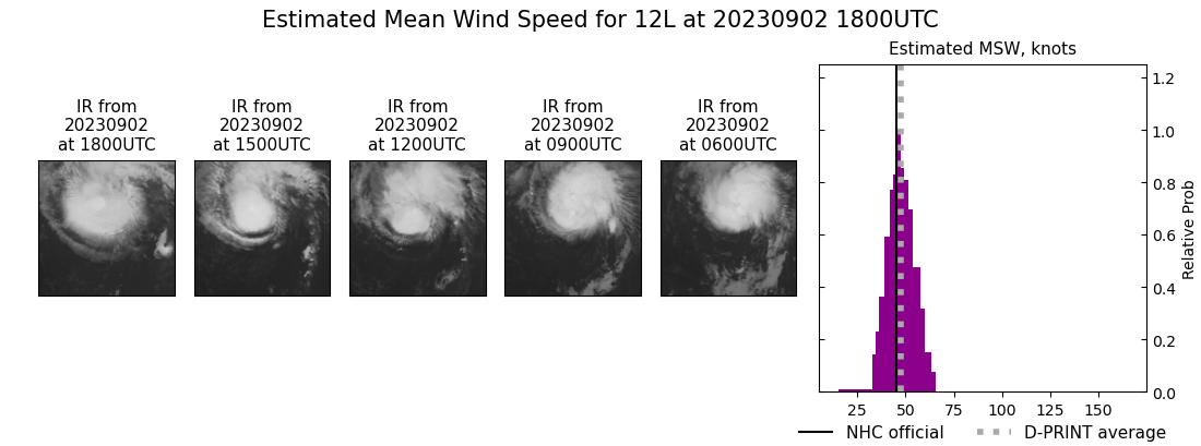 current 12L intensity image