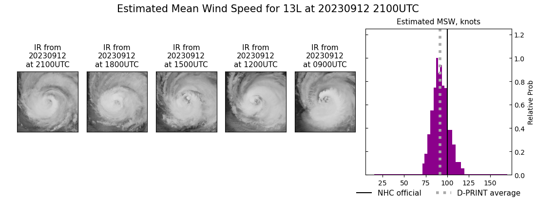 current 13L intensity image