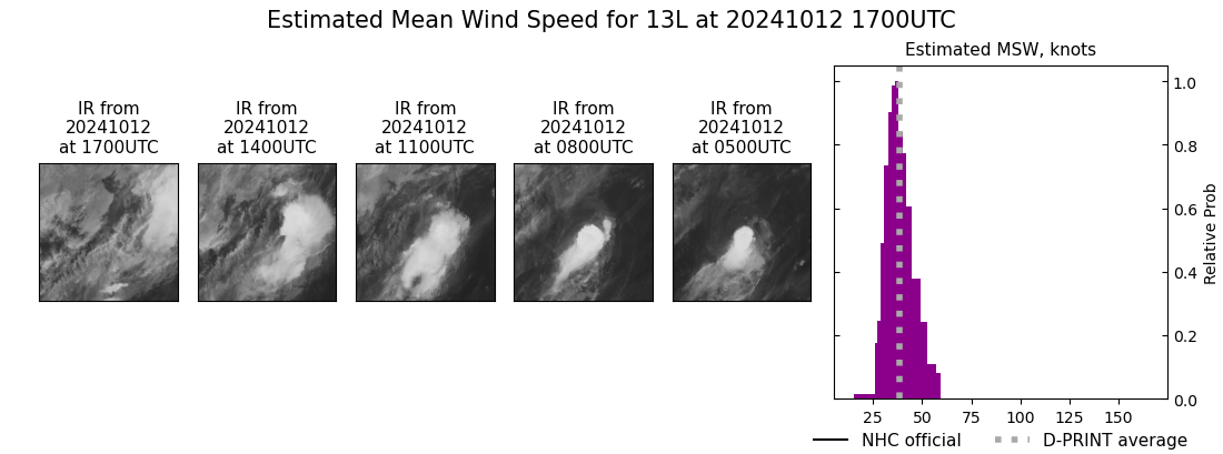 current 13L intensity image