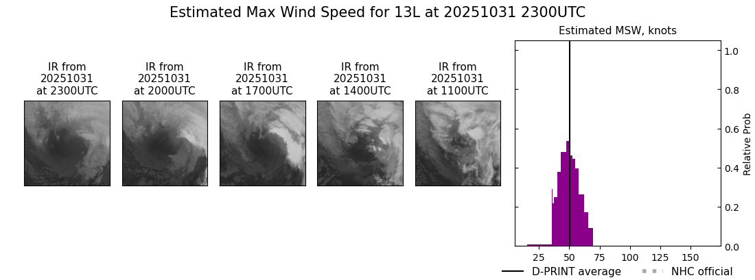 current 13L intensity image