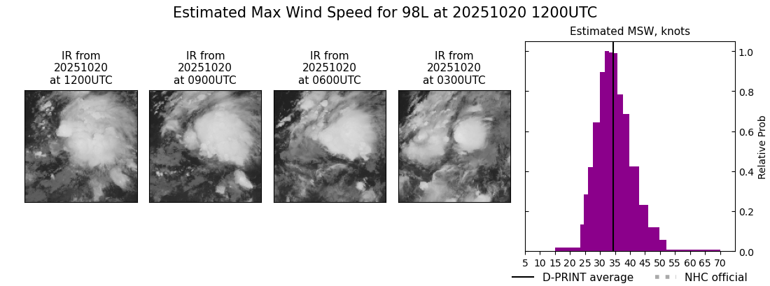 current 13L intensity image
