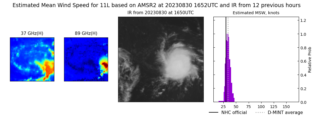 current 11L intensity image
