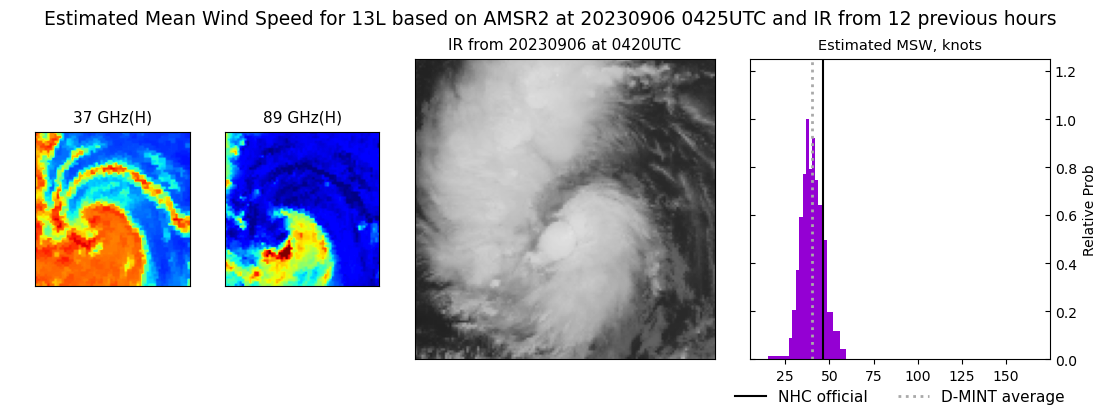 current 13L intensity image