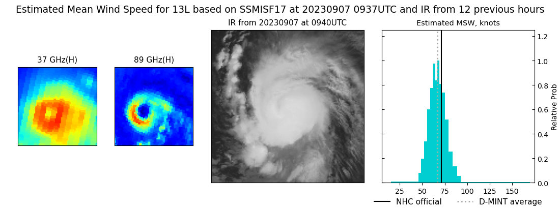 current 13L intensity image