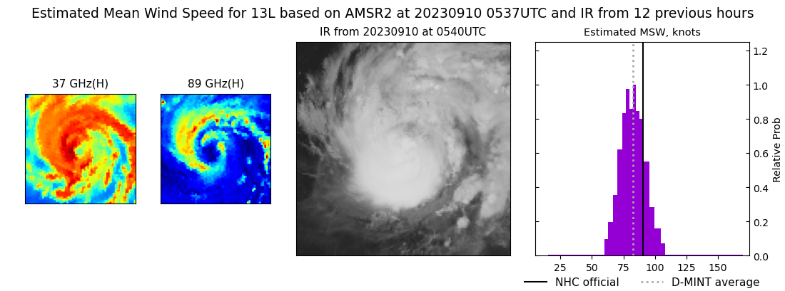 current 13L intensity image